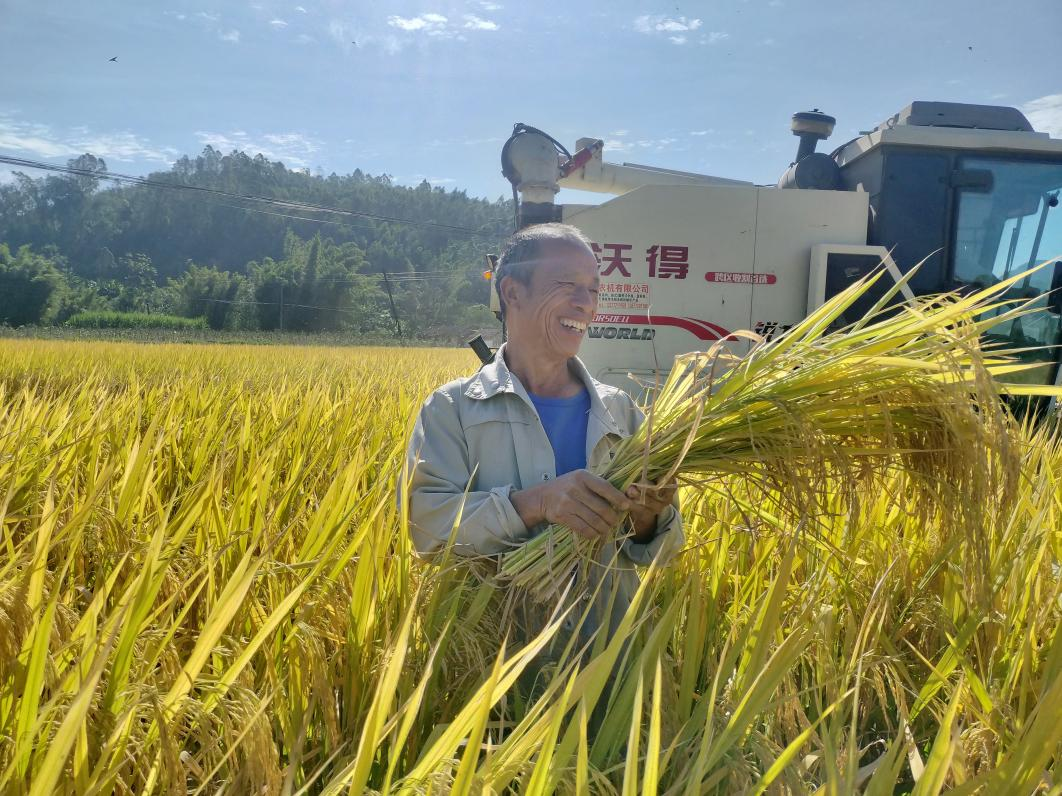 图为广西融水县阳光助残基地受益残疾农户喜获丰收